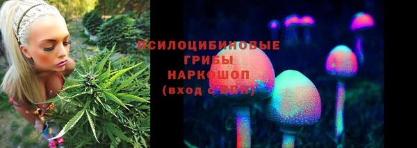 каннабис Пестово