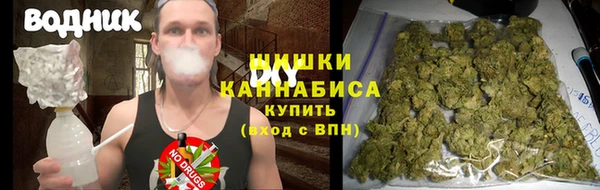 твердый Пересвет