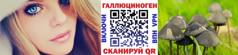 Галлюциногенные грибы мицелий Выборг