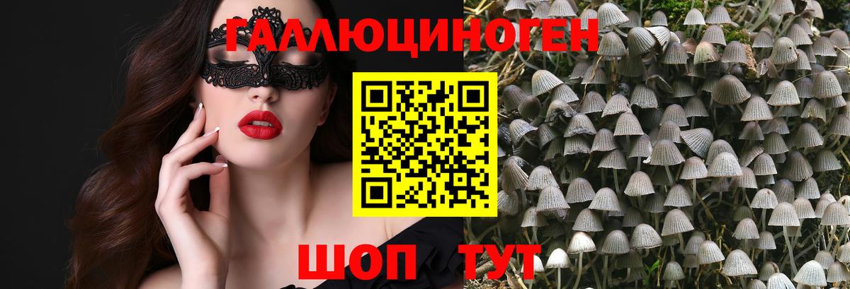 Псилоцибиновые грибы мицелий Выборг