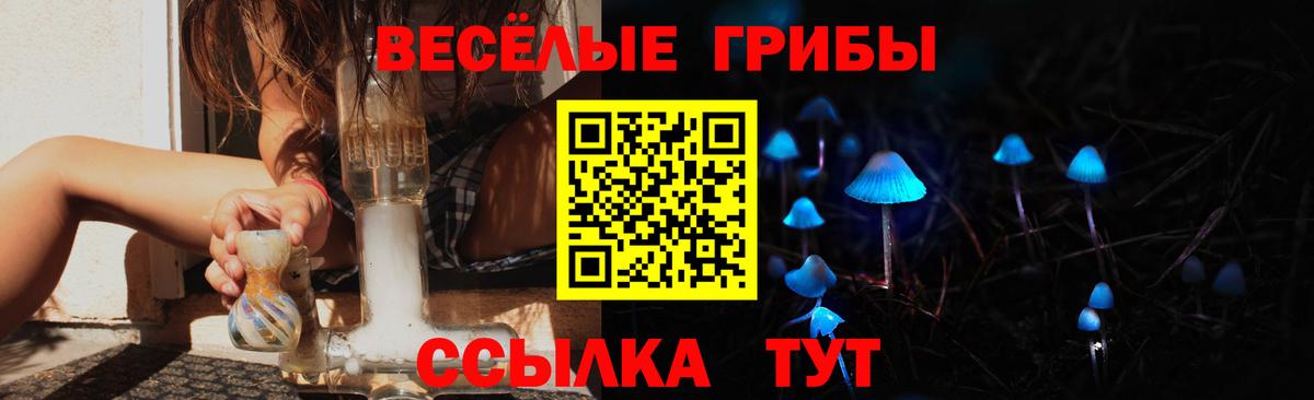 закладки  Вход с VPN  Выборг  Галлюциногенные грибы GOLDEN TEACHER  Псилоцибиновые грибы прущие грибы 
